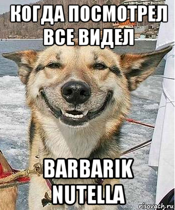 когда посмотрел все видел barbarik nutella, Мем Довольный пес