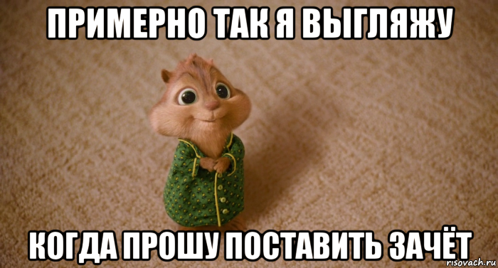 примерно так я выгляжу когда прошу поставить зачёт