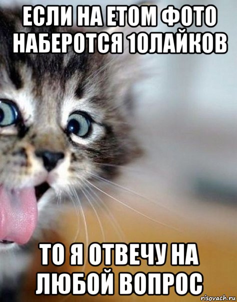 если на етом фото наберотся 10лайков то я отвечу на любой вопрос
