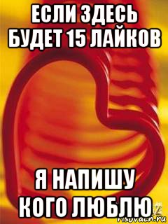 если здесь будет 15 лайков я напишу кого люблю, Мем Если наберётся 50 лайков  то пос