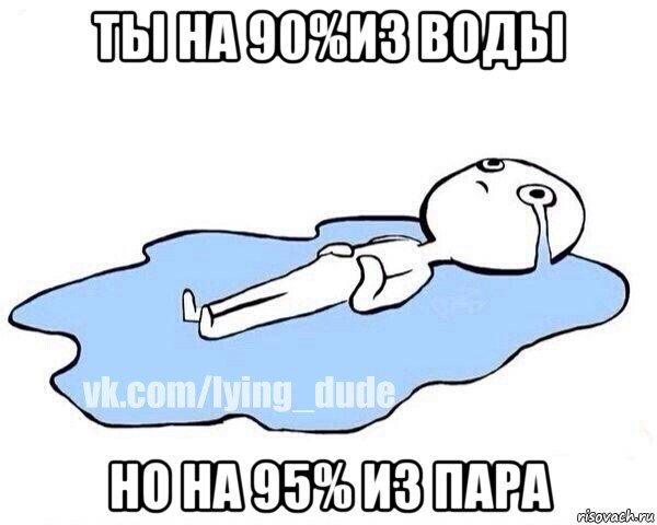 ты на 90%из воды но на 95% из пара, Мем Этот момент когда