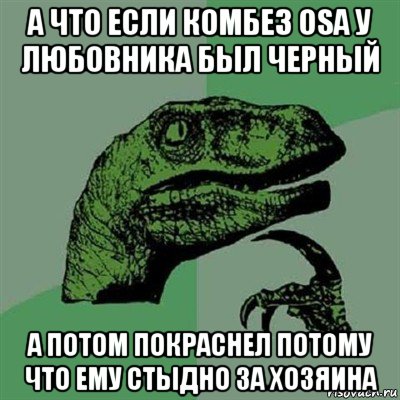 а что если комбез osa у любовника был черный а потом покраснел потому что ему стыдно за хозяина, Мем Филосораптор