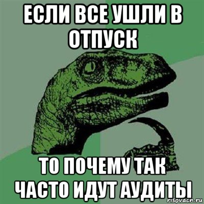 если все ушли в отпуск то почему так часто идут аудиты, Мем Филосораптор