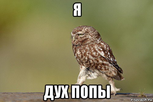 я дух попы
