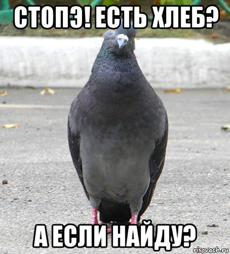 стопэ! есть хлеб? а если найду?
