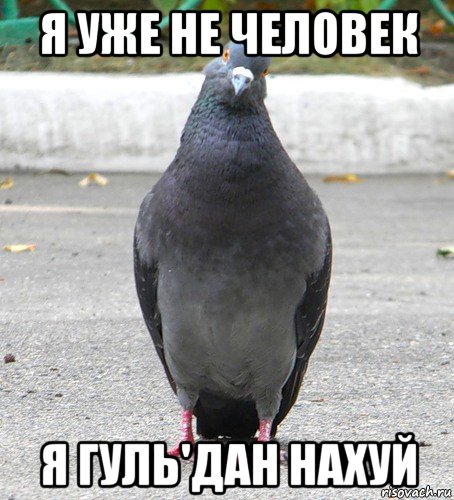 я уже не человек я гуль'дан нахуй