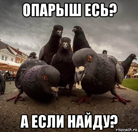опарыш есь? а если найду?