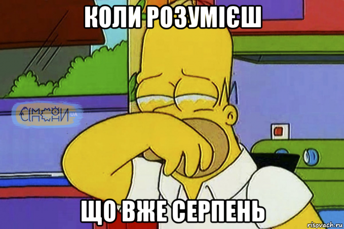 коли розумієш що вже серпень, Мем Гомер Плаче СІМПСОНИ UA