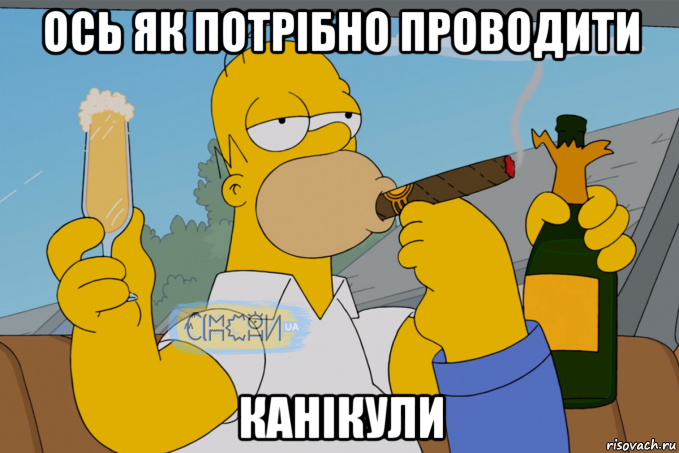 ось як потрібно проводити канікули, Мем Гомер СІМПСОНИ UA