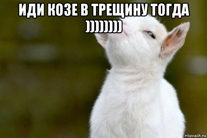 иди козе в трещину тогда )))))))) , Мем  Гордый козленок