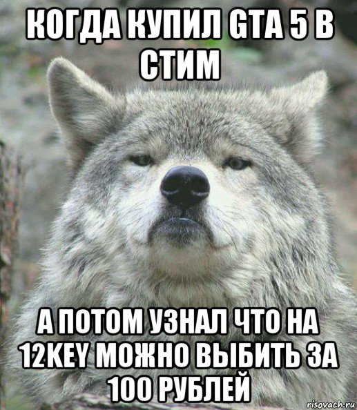 когда купил gta 5 в стим а потом узнал что на 12key можно выбить за 100 рублей, Мем    Гордый волк