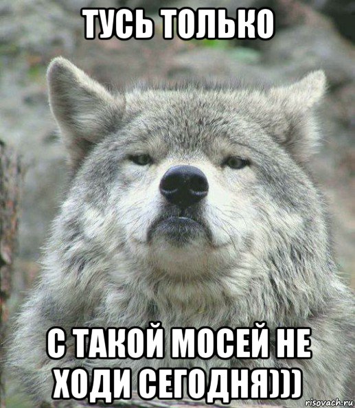 тусь только с такой мосей не ходи сегодня))), Мем    Гордый волк