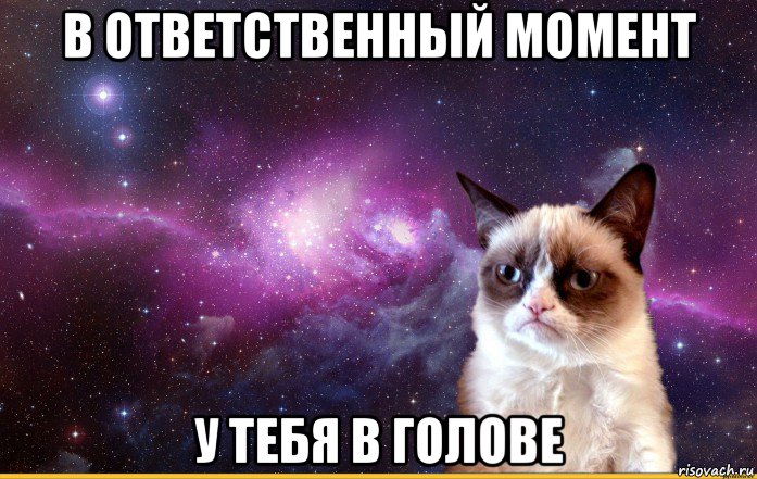 в ответственный момент у тебя в голове, Мем grumpy cat космос