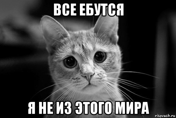 все ебутся я не из этого мира
