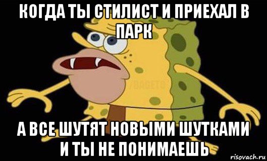 когда ты стилист и приехал в парк а все шутят новыми шутками и ты не понимаешь, Мем Губка Боб дикарь