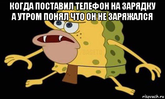 когда поставил телефон на зарядку а утром понял что он не заряжался , Мем Губка Боб дикарь