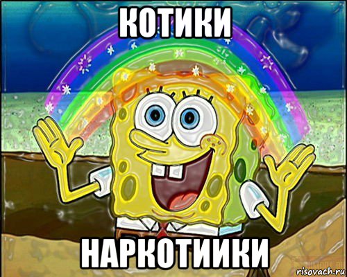 котики наркотиики