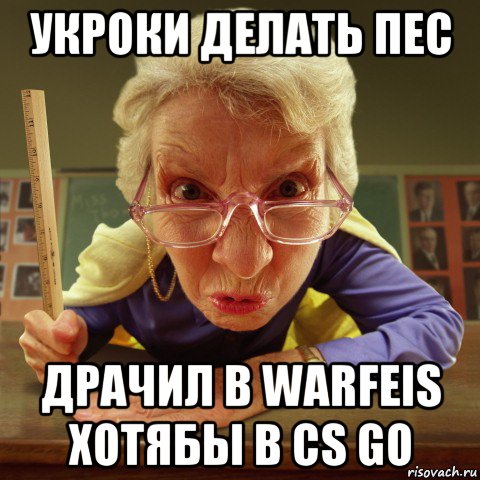 укроки делать пес драчил в warfeis хотябы в cs go, Мем Злая училка