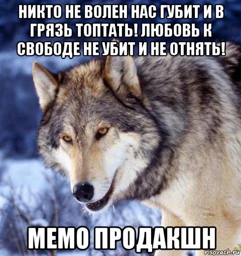 никто не волен нас губит и в грязь топтать! любовь к свободе не убит и не отнять! мемо продакшн