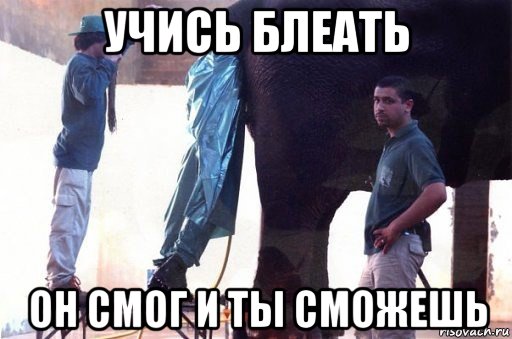 учись блеать он смог и ты сможешь, Мем индус