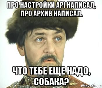 про настройки api написал, про архив написал. что тебе еще надо, собака?, Мем Иван васильевич
