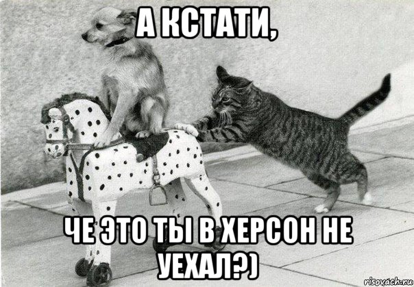 а кстати, че это ты в херсон не уехал?)