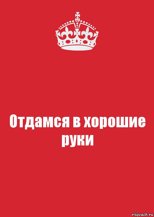 Отдамся в хорошие руки, Комикс Keep Calm 3