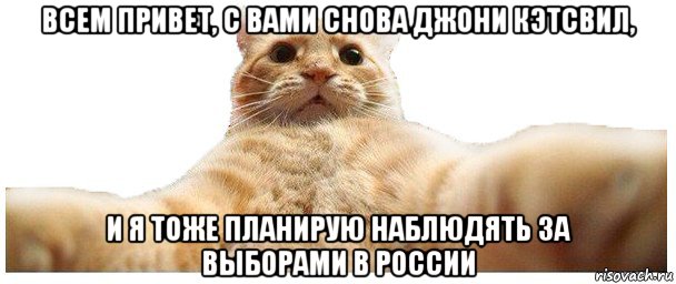 всем привет, с вами снова джони кэтсвил, и я тоже планирую наблюдять за выборами в россии, Мем   Кэтсвилл