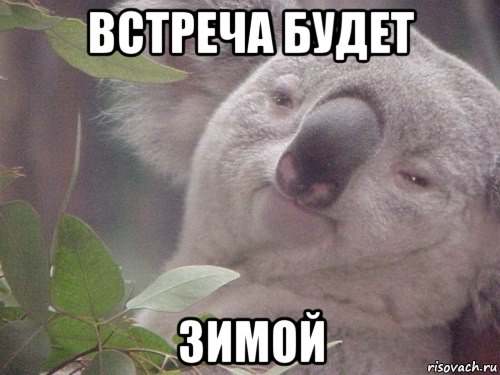встреча будет зимой