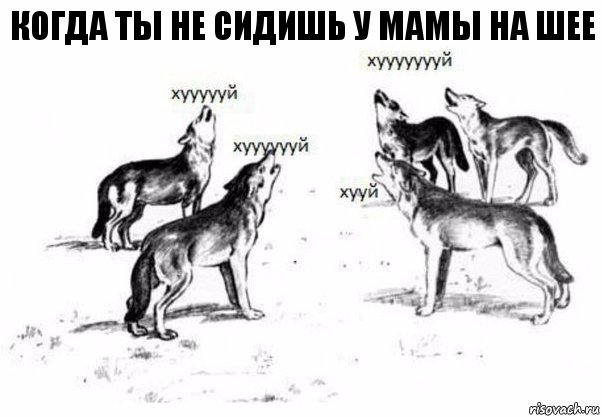 когда ты не сидишь у мамы на шее