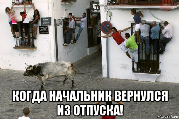  когда начальник вернулся из отпуска!, Мем Когда начальник вернулся из отпуска