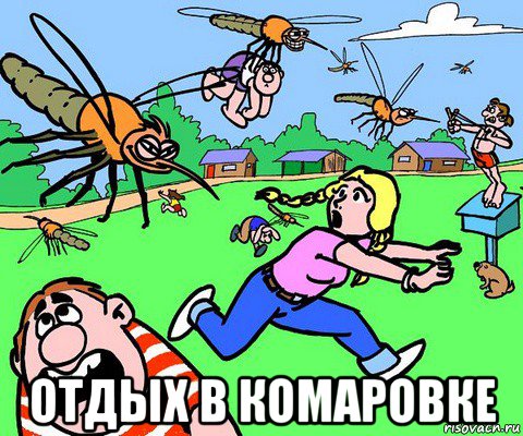  отдых в комаровке