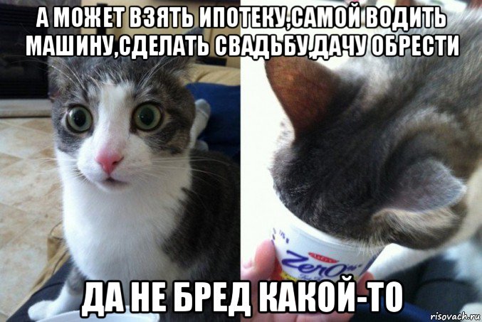 а может взять ипотеку,самой водить машину,сделать свадьбу,дачу обрести да не бред какой-то, Мем Кот да не бред какой то