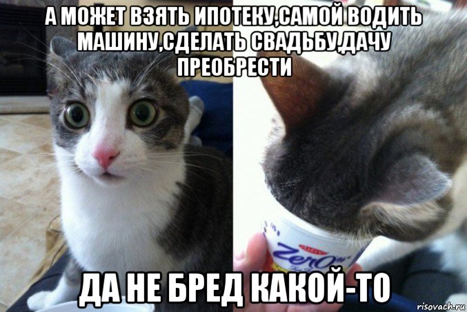 а может взять ипотеку,самой водить машину,сделать свадьбу,дачу преобрести да не бред какой-то, Мем Кот да не бред какой то