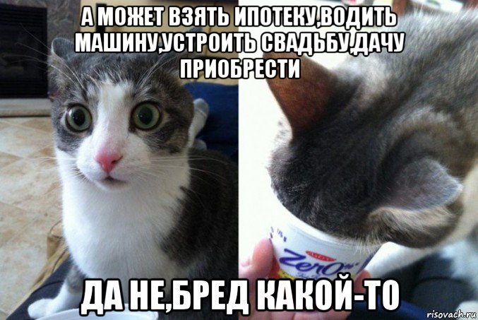 а может взять ипотеку,водить машину,устроить свадьбу,дачу приобрести да не,бред какой-то