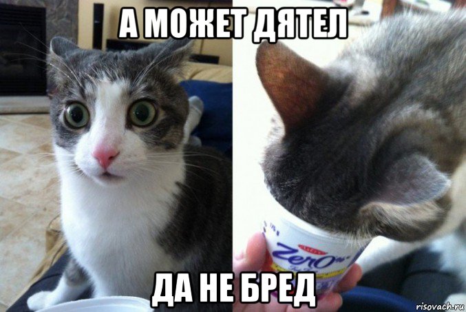 а может дятел да не бред
