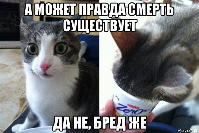 а может правда смерть существует да не, бред же
