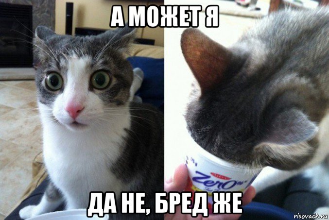 а может я да не, бред же