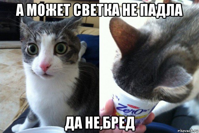 а может светка не падла да не,бред