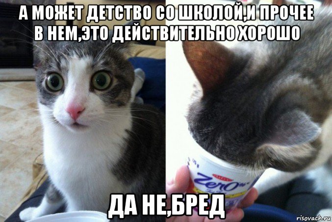а может детство со школой,и прочее в нем,это действительно хорошо да не,бред