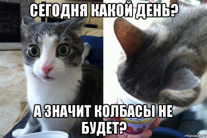 сегодня какой день? а значит колбасы не будет?