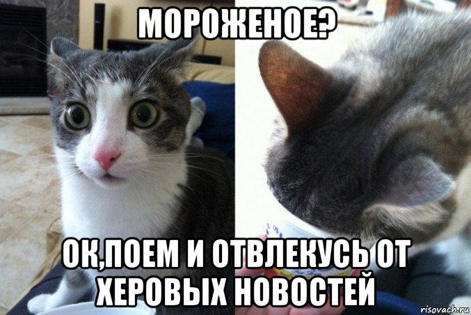 мороженое? ок,поем и отвлекусь от херовых новостей