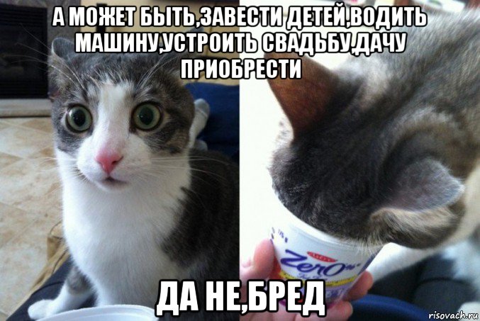 а может быть,завести детей,водить машину,устроить свадьбу,дачу приобрести да не,бред, Мем Кот да не бред какой то