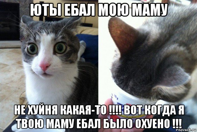 юты ебал мою маму не хуйня какая-то !!!! вот когда я твою маму ебал было охуено !!!
