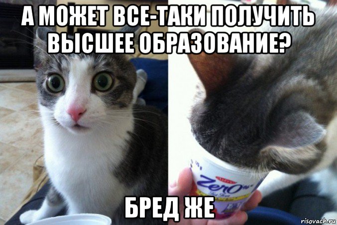 а может все-таки получить высшее образование? бред же