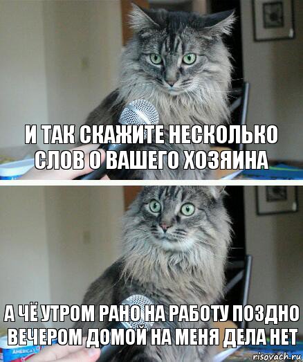 И так скажите несколько слов о вашего Хозяина А чё утром рано на работу поздно вечером домой на меня дела нет, Комикс  кот с микрофоном