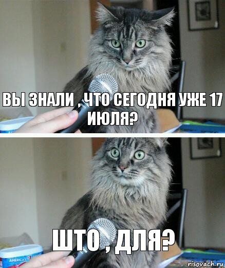 Вы знали , что сегодня уже 17 июля? Што , для?, Комикс  кот с микрофоном