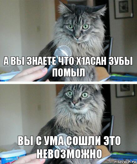 а вы знаете что х1асан зубы помыл вы с ума сошли это невозможно, Комикс  кот с микрофоном