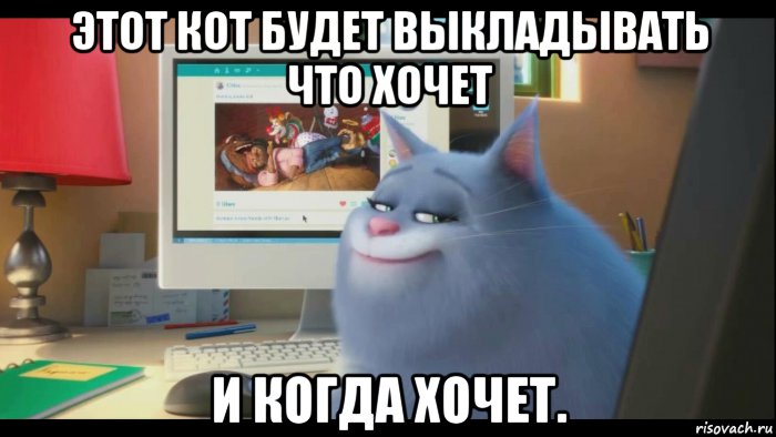 этот кот будет выкладывать что хочет и когда хочет.