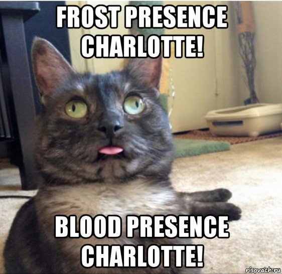 frost presence charlotte! blood presence charlotte!, Мем   Кот завис